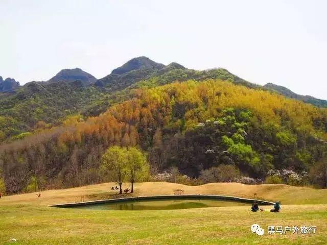 南昌八一广场能卖小玩具吗?游戏画面